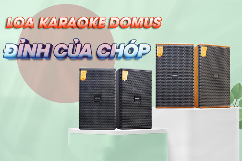 Loa karaoke Domus 