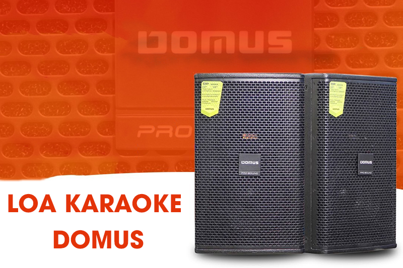 Loa karaoke Domus 