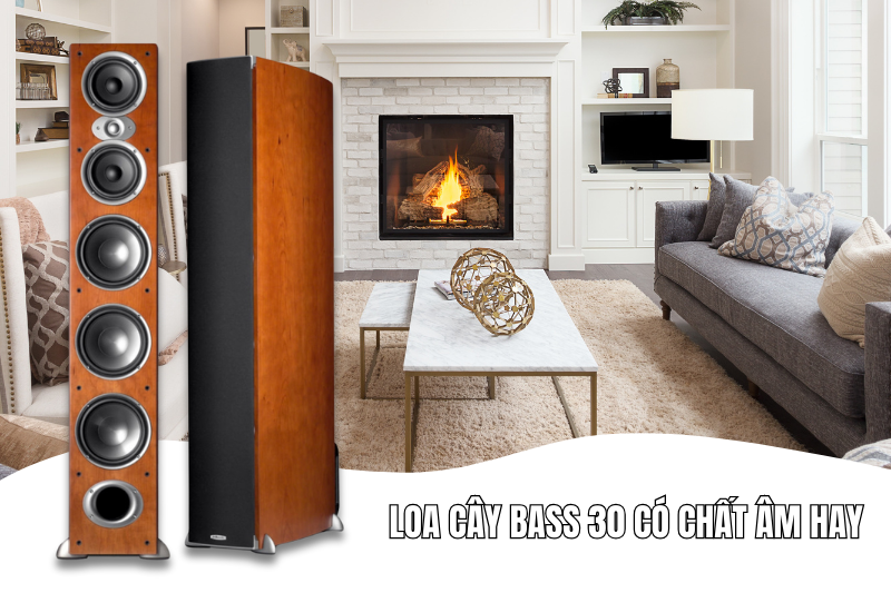 Loa cây bass 30 cho âm thanh mạnh mẽ