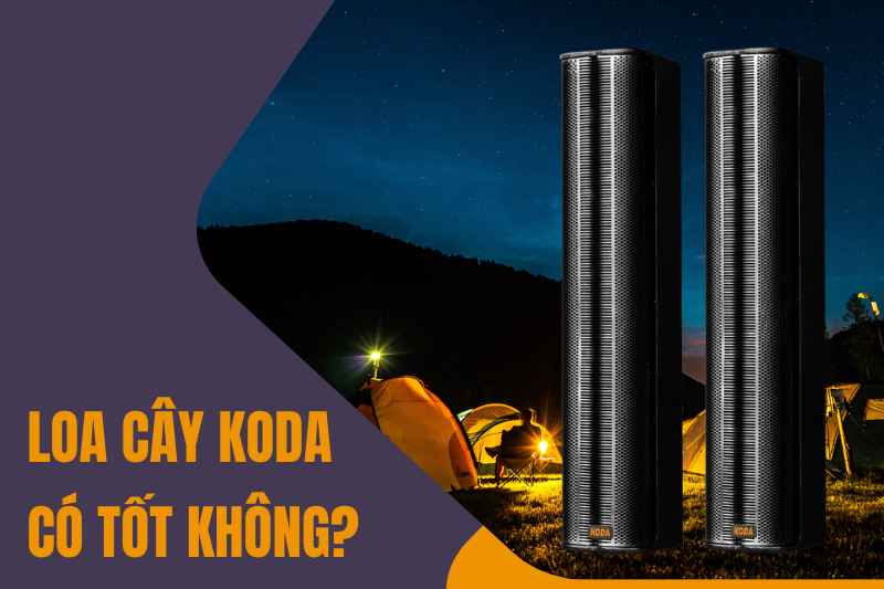Loa cây Koda có tốt không? 