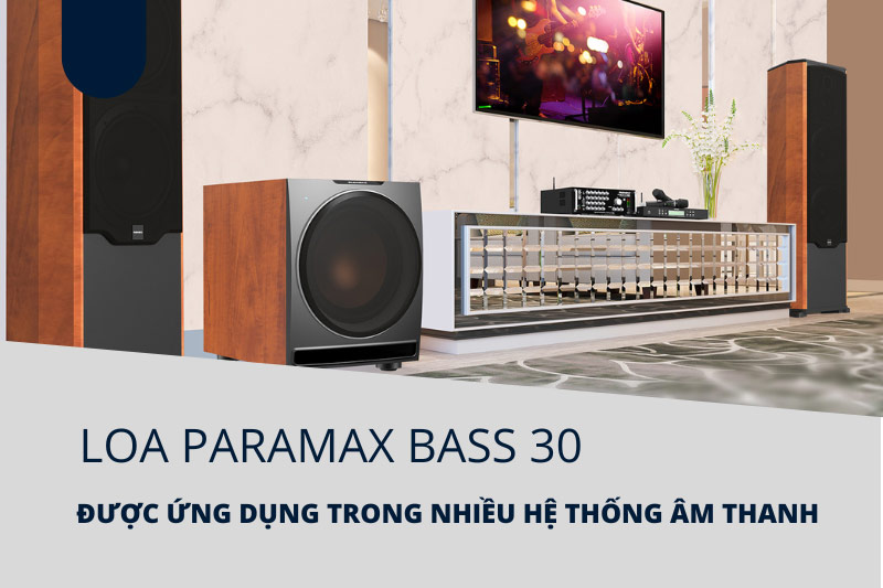Loa Paramax bass 30