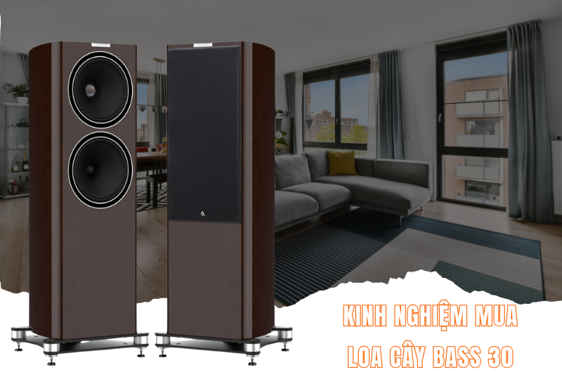 Kinh nghiệm mua loa cây bass 30 