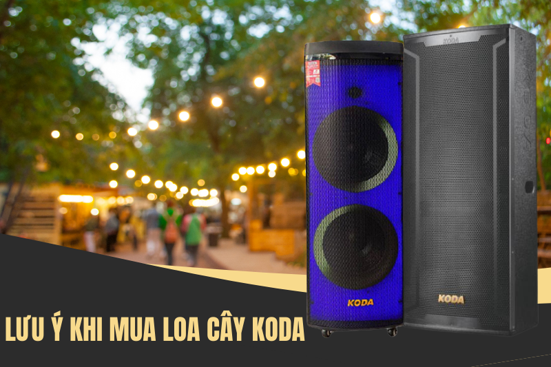 Lưu ý khi mua loa cây Koda