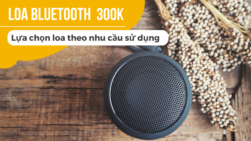 Mua loa bluetooth dưới 300k theo nhu cầu sử dụng 