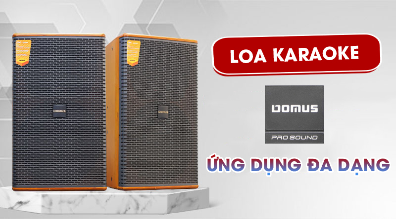 Loa karaoke Domus - ứng dụng đa năng 