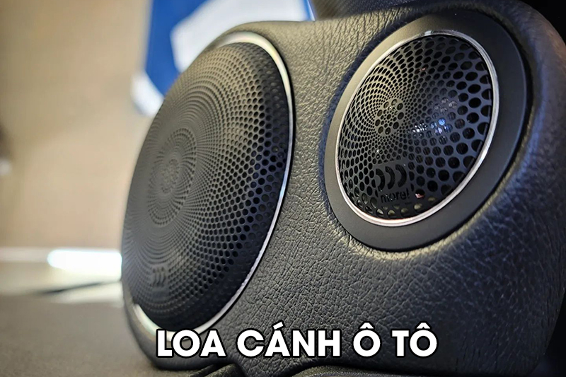 Nâng cấp loa cánh cho ô tô 