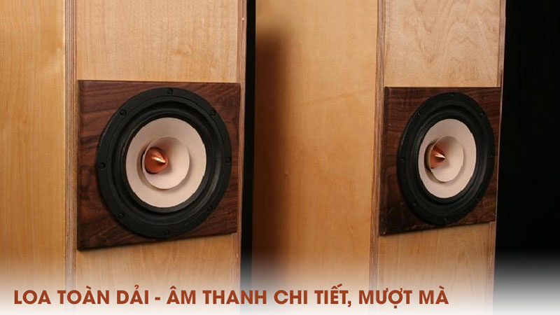 Loa toàn dải cho âm thanh chi tiết, mượt mà