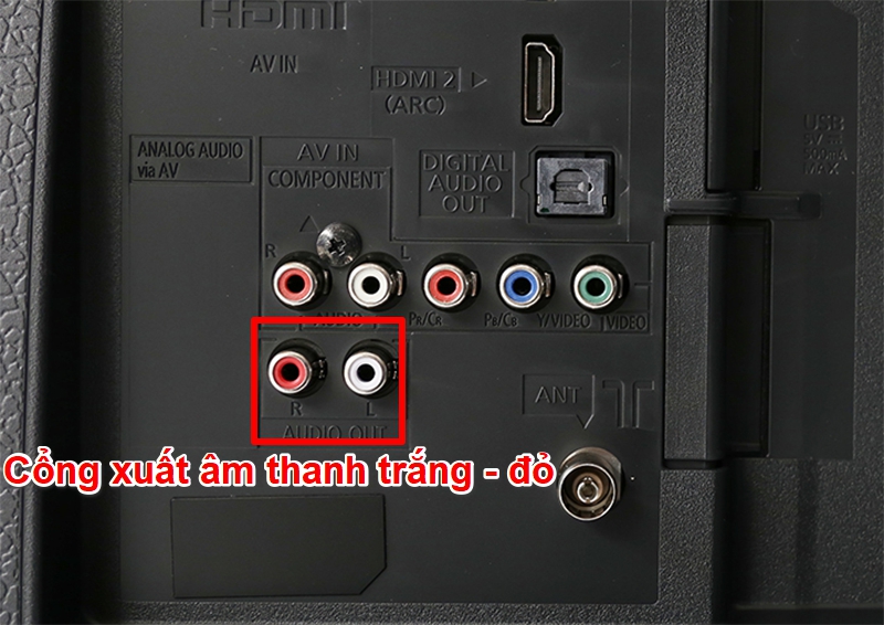 Cách kết nối loa JBL với TV qua cổng AUX