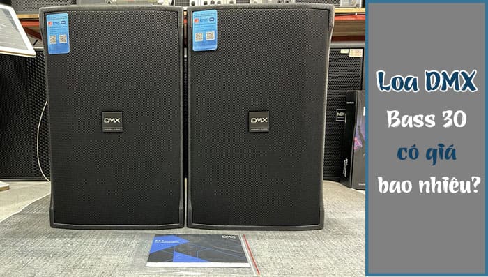 9+) Loa DMX bass 30 chất lượng đỉnh cao, giá rẻ nhất!