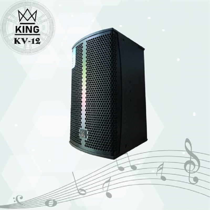 Loa karaoke bass 30 King KV12