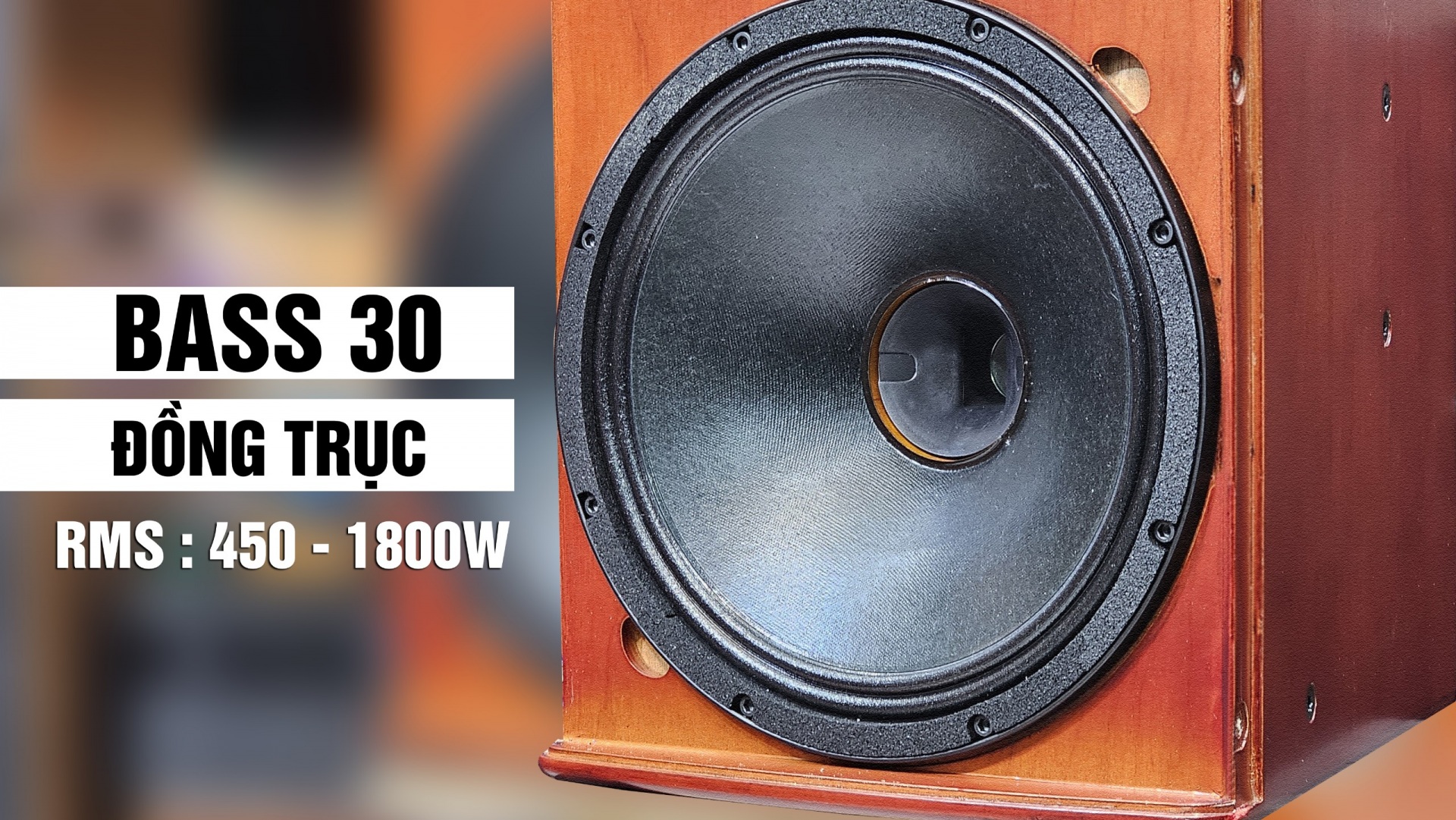 Loa đồng trục bass 30 giá rẻ, hàng chuẩn, chính hãng!