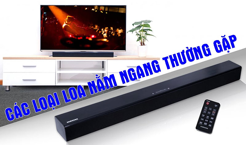 Các loại loa nằm ngang thường gặp rất đa dạng Các loại loa nằm ngang thường gặp rất đa dạng