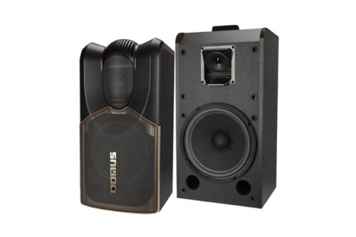 Loa karaoke Domus DWV-1003