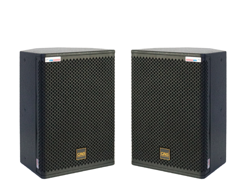 Loa đồng trục CAVS CM12
