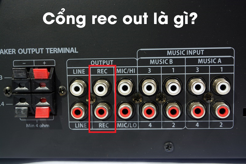 Cổng rec out