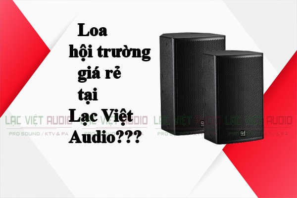 Loa hội trường giá rẻ tại Lạc Việt Audio