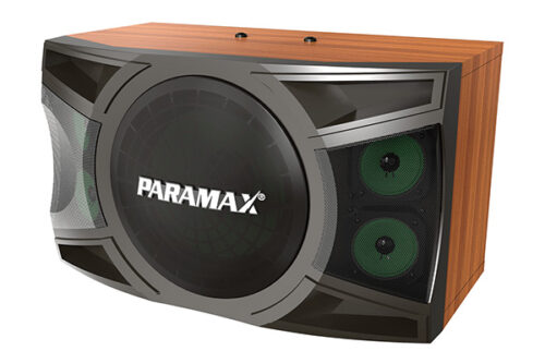 Loa karaoke Paramax LX-1200