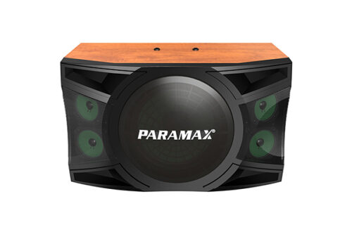 Loa karaoke Paramax P-1500