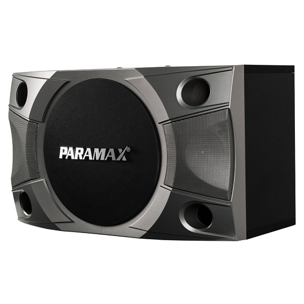 Loa karaoke Paramax P800