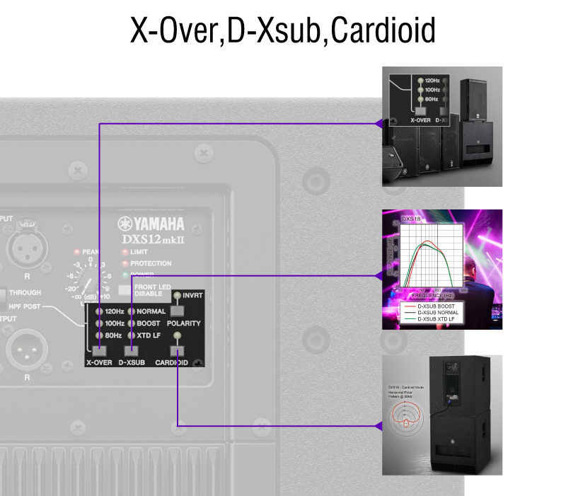 Loa DXS12mkII được tích hợp nhiều chức năng bổ trợ âm mới, cao cấp
