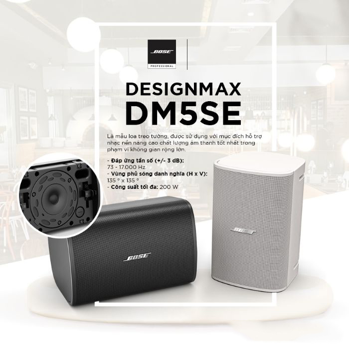 Loa treo tường Bose DesignMax DM5SE