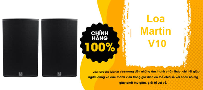 Loa karaoke Martin V10 chính hãng giá tốt tại Lạc Việt Audio